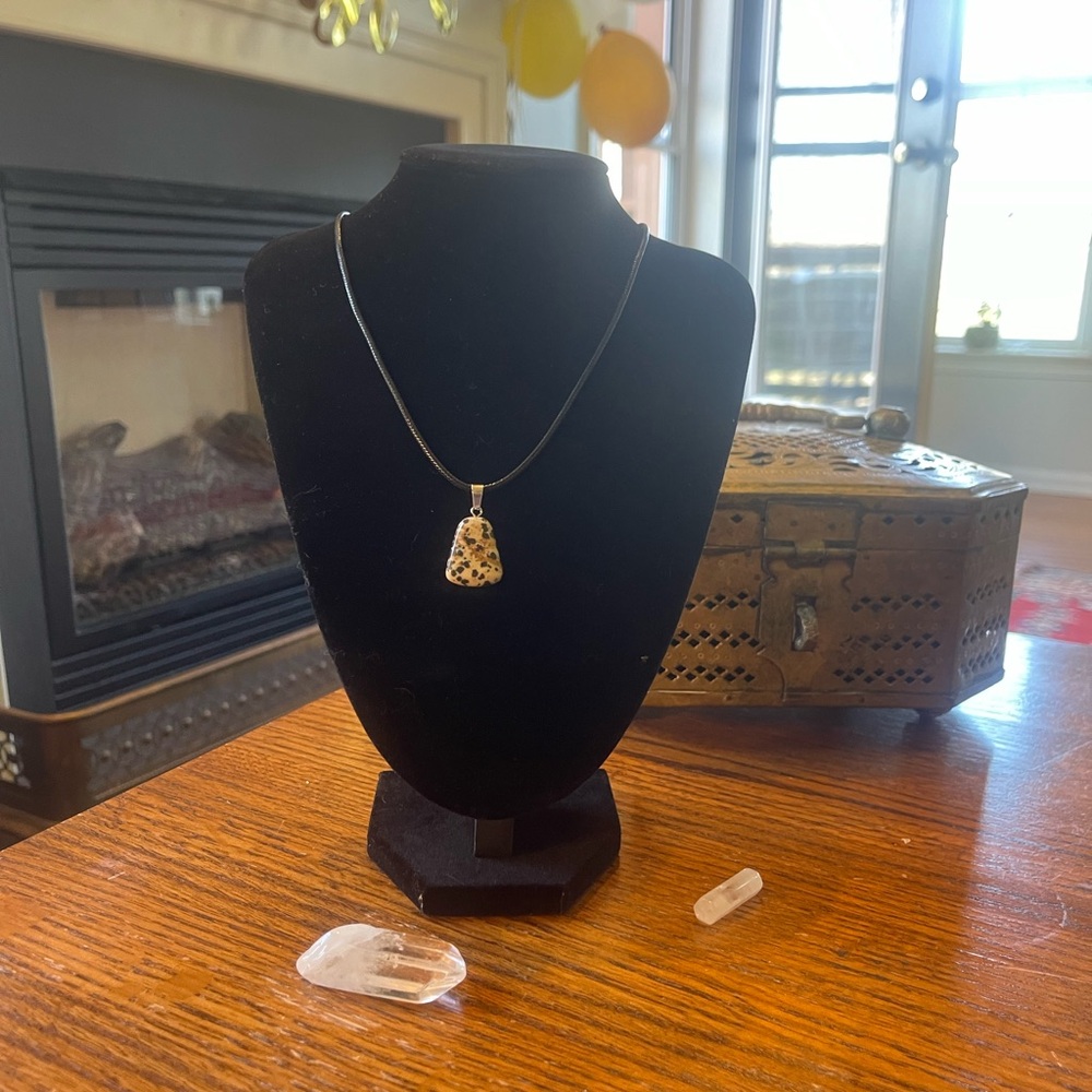 Black Dalmation Jasper Pendent Necklace